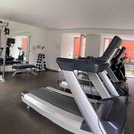 Hermoso Apartamento En San Angel, Cdmx Meksika Dış mekan fotoğraf