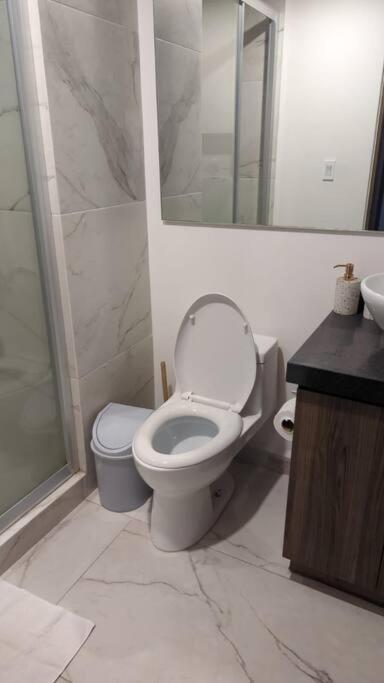 Hermoso Apartamento En San Angel, Cdmx Meksika Dış mekan fotoğraf