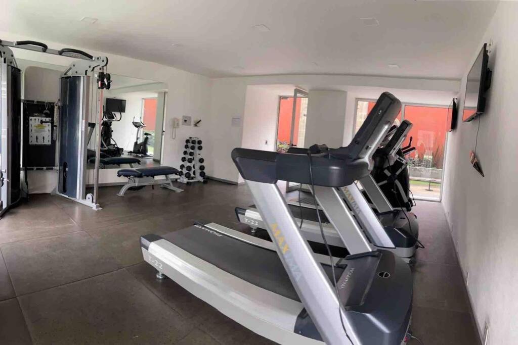 Hermoso Apartamento En San Angel, Cdmx Meksika Dış mekan fotoğraf