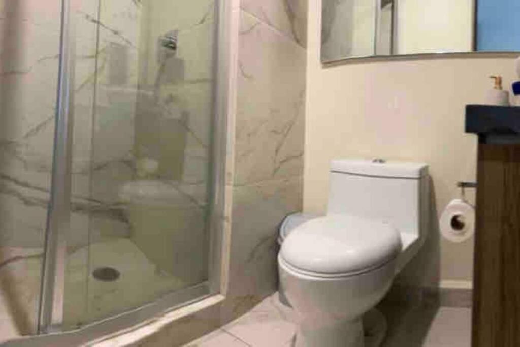 Hermoso Apartamento En San Angel, Cdmx Meksika Dış mekan fotoğraf